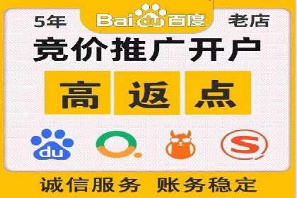 案例解析：sem竞价策略在电商平台的成功应用